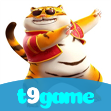 t9game：Mostre suas habilidades e vença nas mesas de poker online!